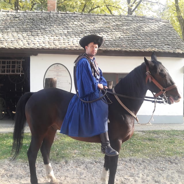 Countryside Ranch, Horse Show & Lunch - Recap