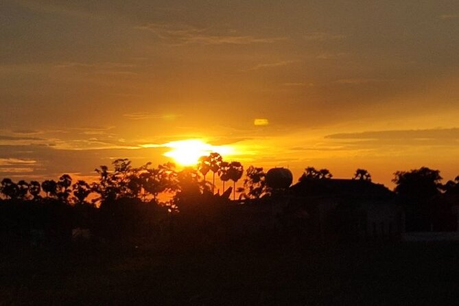 Countryside Sunset Bike Tours - Health and Accessibility