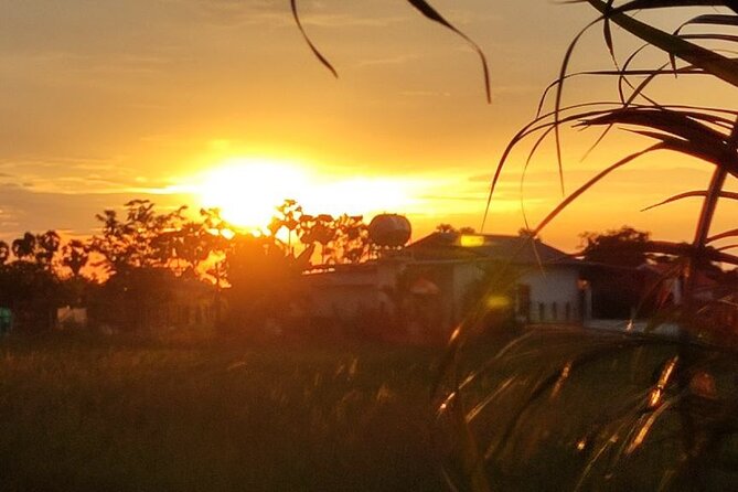 Countryside Sunset Bike Tours - Exploring Rural Cambodia