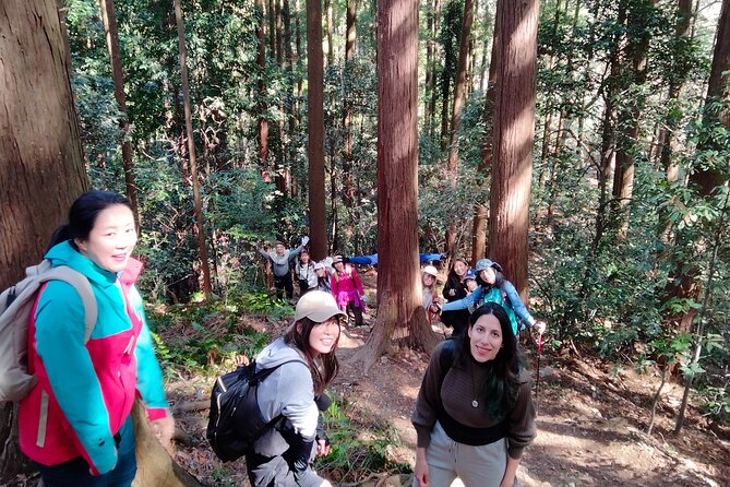 Countryside Walking & Mountain Hiking in Organic Town Near Tokyo - Explore the Saitama Countryside Trails