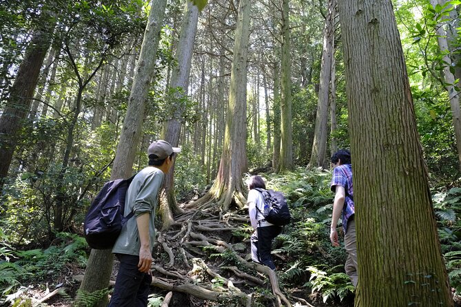 Countryside Walking & Mountain Hiking in Organic Town Near Tokyo - Connecting With the Friendly Locals