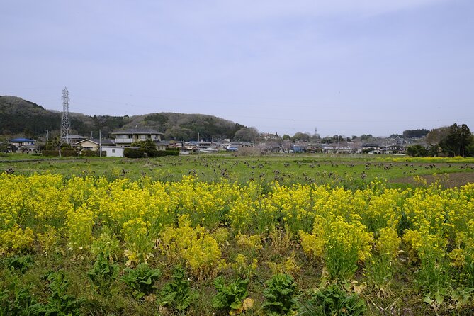Countryside Walking & Mountain Hiking in Organic Town Near Tokyo - What to Expect on the Tour