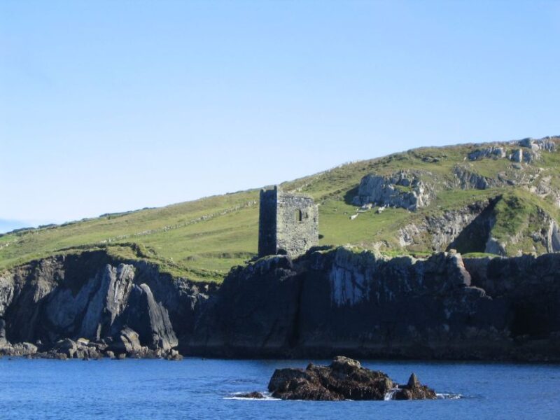County Cork: Whale & Dolphin Watching Boat Trip - Trip Logistics