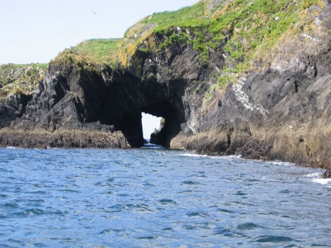 County Cork: Whale & Dolphin Watching Boat Trip - Reviews and Ratings