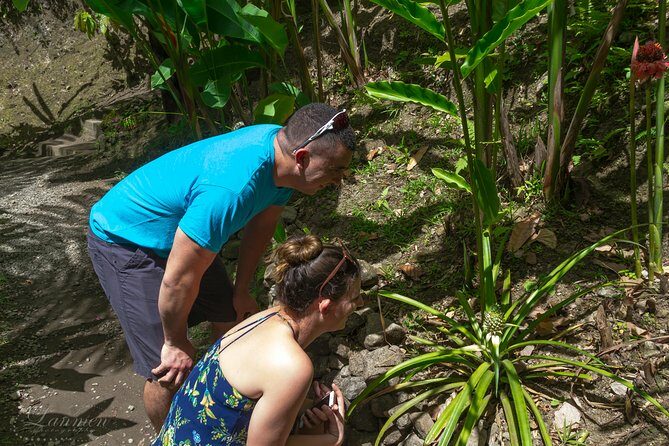 Couples Private St. Lucia Highlights Tour - The Sum Up