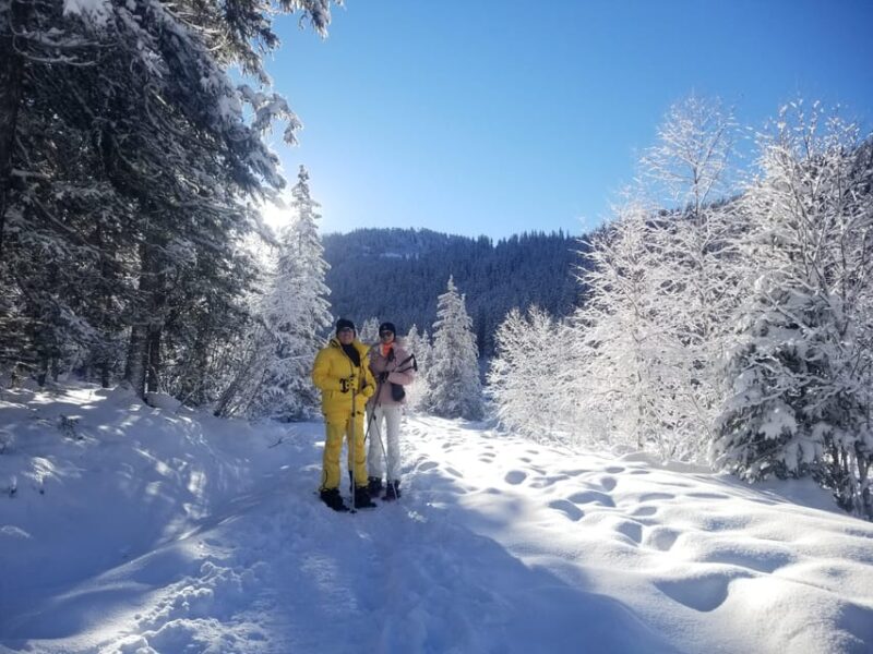 Courchevel: Snowshoeing or Nordic Walking - Key Points