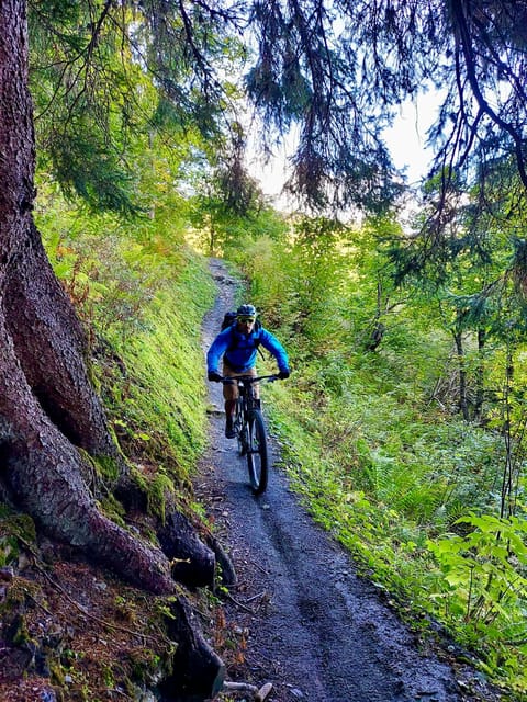 Courmayeur: Ebike Tour in Val Ferret up to Rifugio Elena - Booking and Cancellation Policy