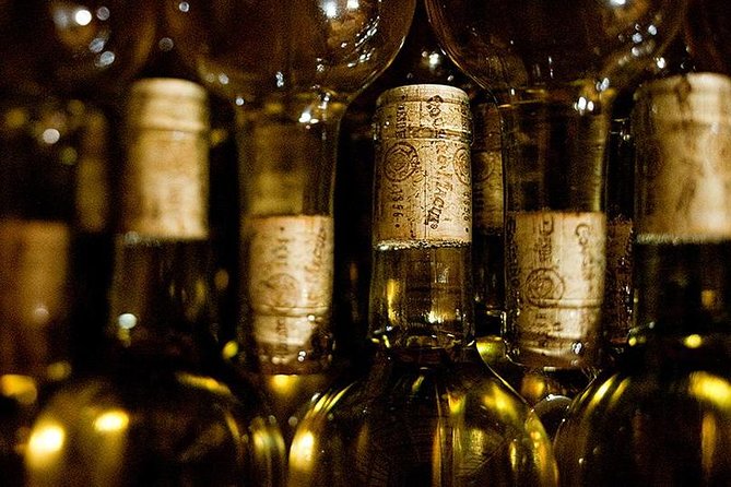 Cousino Macul and Concha Y Toro Wineries Day Trip From Santiago - Traveler Reviews and Feedback
