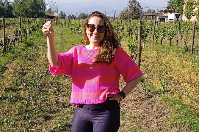 Cousiño Macul Vineyard - Maipo Valley - Premium Tasting - HD - Tour Inclusions and Duration