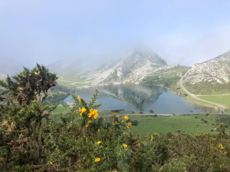 Covadonga and Lakes and Occidental Coast Private Tour - Key Points