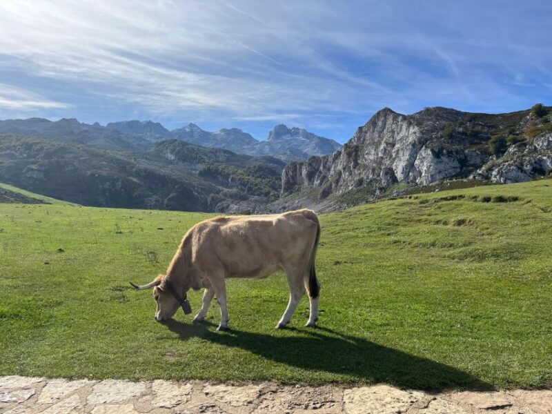 Covadonga and Lakes and Occidental Coast Private Tour - Locations Visited