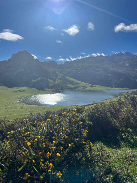Covadonga and Lakes and Occidental Coast Private Tour - Covadonga Sanctuary and Holy Cave
