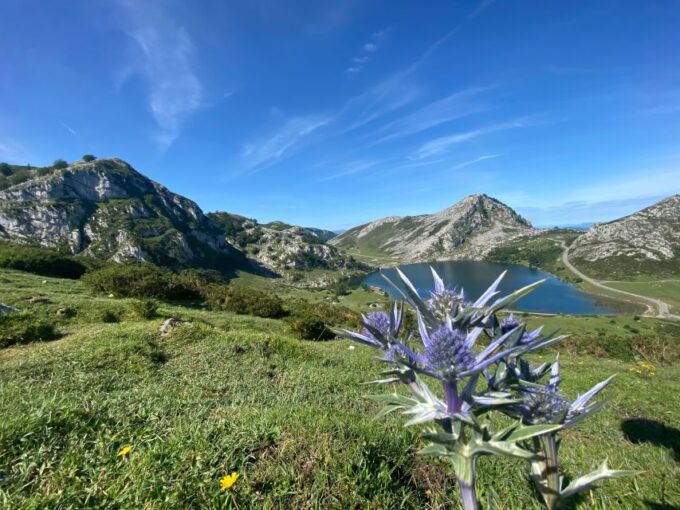 Covadonga and Lakes and Occidental Coast Private Tour - Frequently Asked Questions
