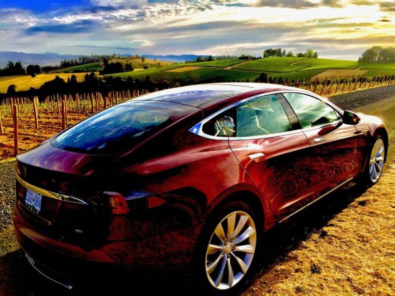 Cowichan Valley Premium Wine Tour - Experience Highlights