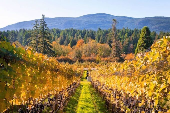 Cowichan Valley Premium Wine Tour - Frequently Asked Questions
