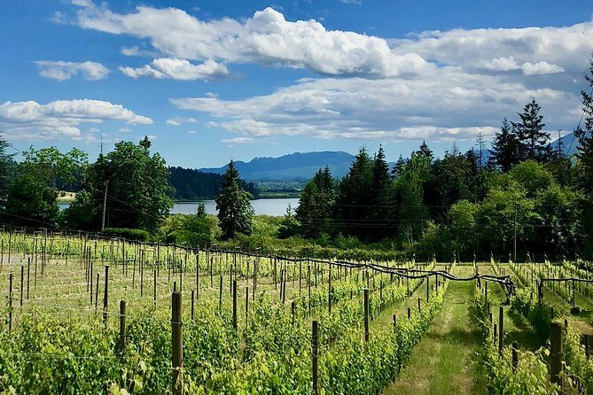 Cowichan Valley Premium Wine Tour - Key Points