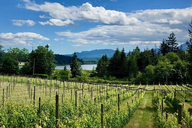 Cowichan Valley Premium Wine Tour - Exploring Cowichan Valley Wineries