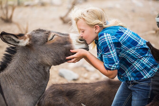 Cowpoke Ride: Adventurous Horseback Tour Just 9 MILES From Sedona - Pricing Details