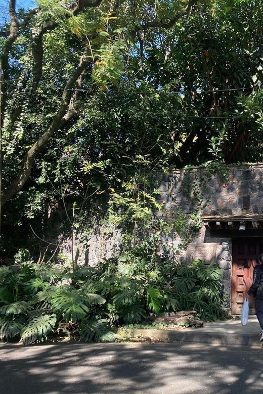 COYOACAN: FRIDA KAHLO STEPS IN COYOACAN AND SAN ANGEL CDMX - Important Information