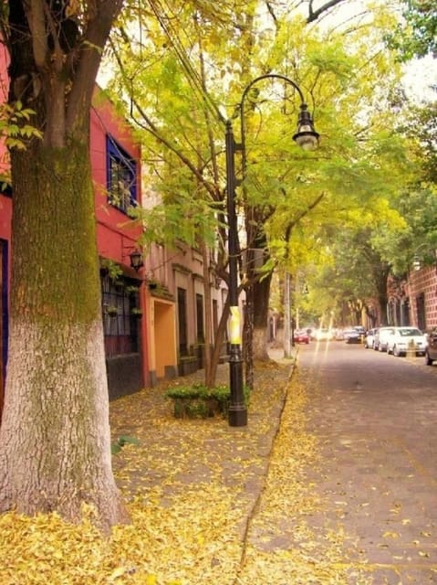 COYOACAN: FRIDA KAHLO STEPS IN COYOACAN AND SAN ANGEL CDMX - Starting Point and Key Locations