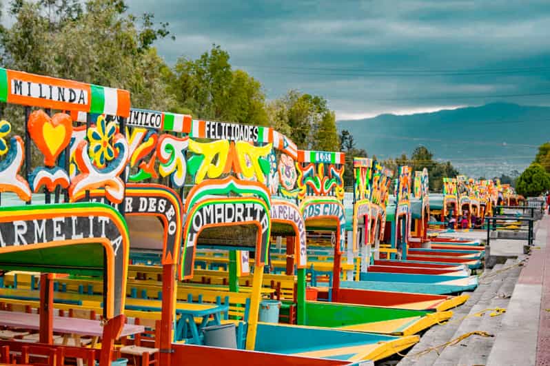 Coyoacán & Xochimilco: Discover an Oasis in Mexico City - Activity Overview