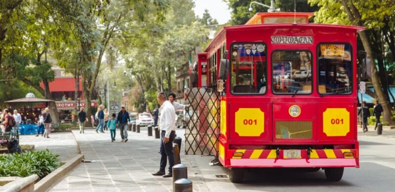 Coyoacán & Xochimilco: Discover an Oasis in Mexico City - Frequently Asked Questions