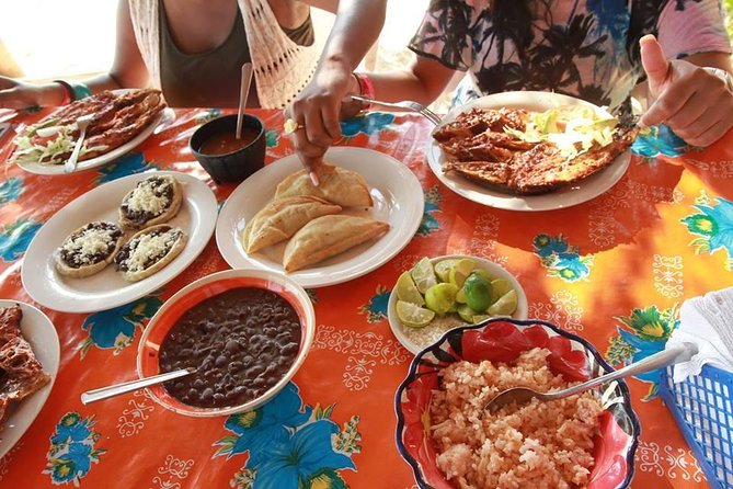 Coyuca Lagoon Countryside Baby Turtle Release Lunch & Boat Ride - Recommendations and Additional Information