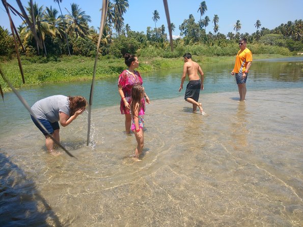 Coyuca Lagoon Countryside Baby Turtle Release Lunch & Boat Ride - Coyuca Lagoon Boat Ride