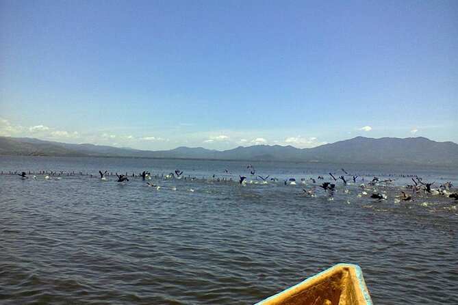 Coyuca Lagoon Tour in Acapulco - Booking and Availability