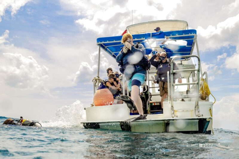 Cozumel: 1 Tank Certified Scuba Diving - Key Points