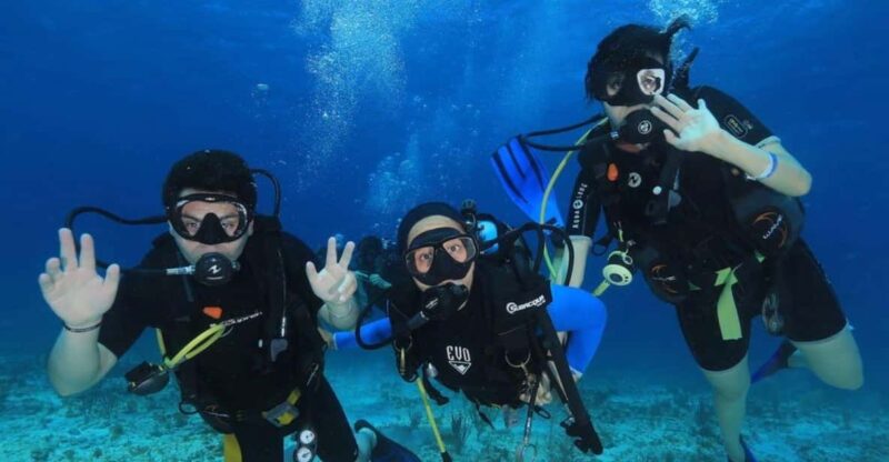 Cozumel: 2-Tank Dive Trip With Lunch and Transfers - Key Points