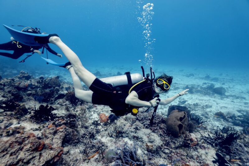 Cozumel: 2 Tanks Certified Scuba Diving - Key Points