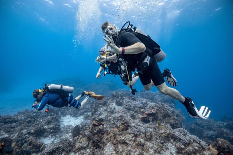 Cozumel: 2 Tanks Certified Scuba Diving - Explore Cozumels Barrier Reef