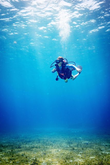 Cozumel: 2 Tanks Certified Scuba Diving - Diverse Marine Life Discoveries