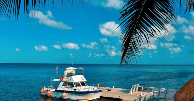 Cozumel: 2 Tanks Certified Scuba Diving - Professional Diving Service