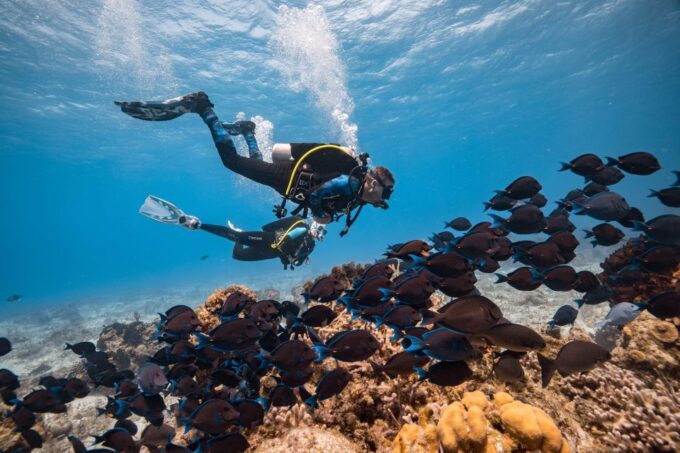 Cozumel: 2 Tanks Certified Scuba Diving - Participant Restrictions and Information