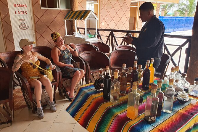 Cozumel 5-Hour Private Bar Crawl Tour - Highlights of the Tour