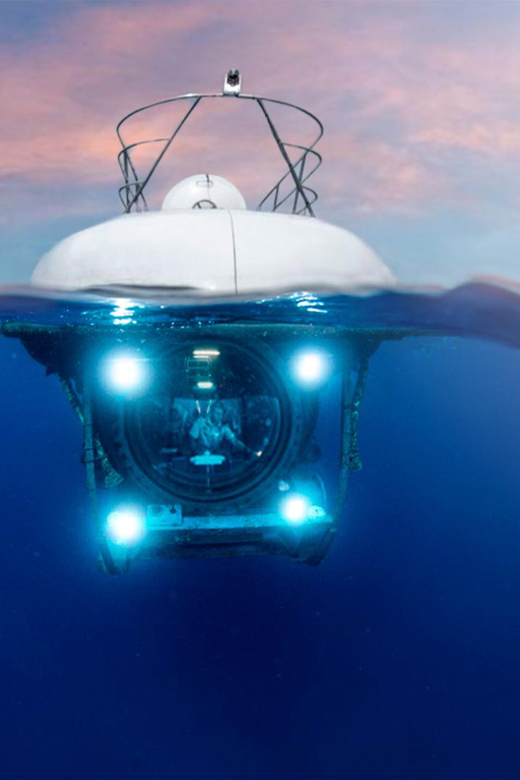 Cozumel: Atlantis Submarine Adventure - Key Points