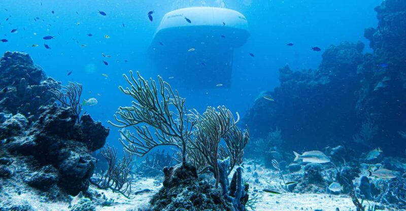 Cozumel: Atlantis Submarine Adventure - Itinerary and Experience