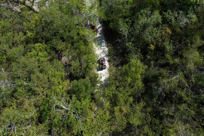 Cozumel ATV Jungle Small Group Guided Ride - Key Points
