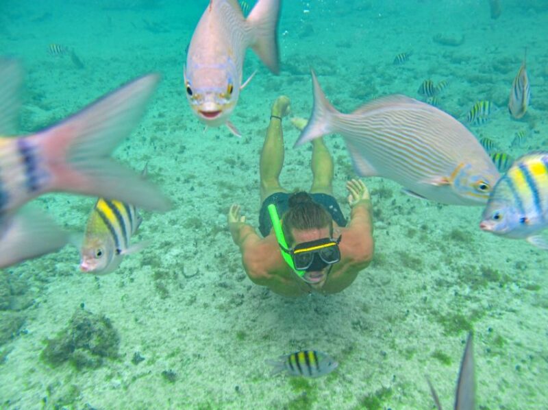 Cozumel: ATV & Snorkeling Guided Tour With Beach Club Lunch - Experience Highlights