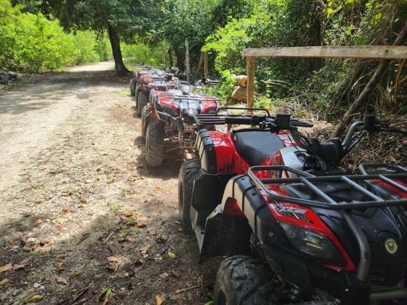 Cozumel Atv to Jade Cavern , Tequila and Beach Getaway - Visit El Cedral
