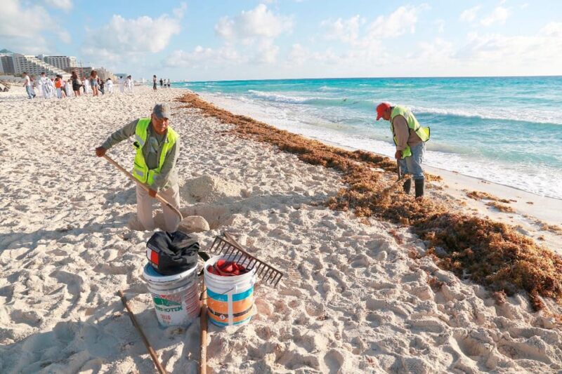 Cozumel Beach Guardians: Making a Difference Together - Environmental Challenges