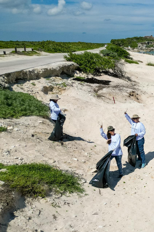 Cozumel Beach Guardians: Making a Difference Together - Participant Guidelines