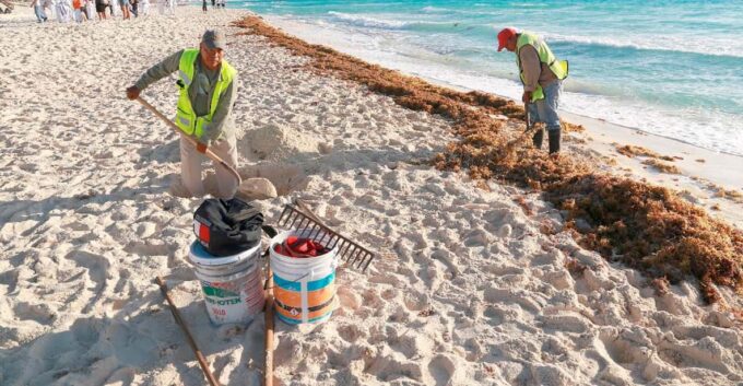 Cozumel Beach Guardians: Making a Difference Together - Frequently Asked Questions