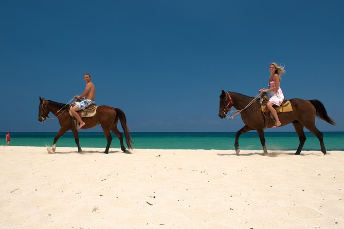 Cozumel Beach Horseback Riding Tour - Included in the Tour