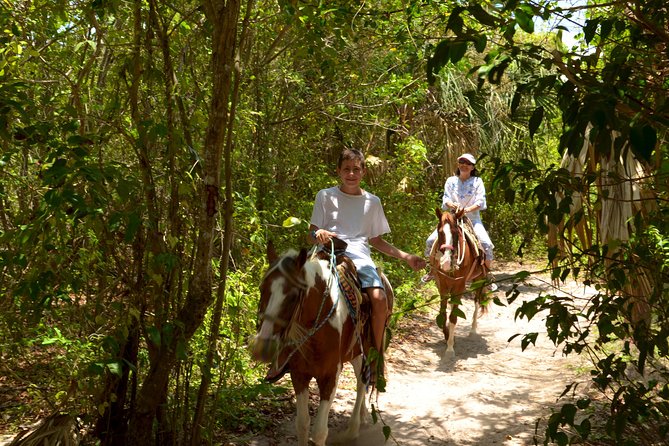 Cozumel Beach Horseback Riding Tour - Meeting and Pickup