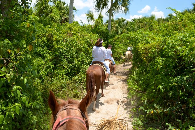 Cozumel Beach Horseback Riding Tour - Additional Information