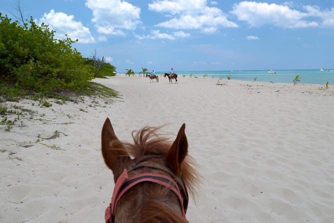 Cozumel Beach Horseback Riding Tour - Tour Duration and Schedule