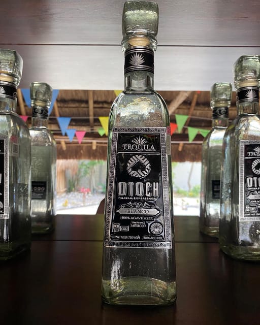 Cozumel Beaches Buggy Tour, Tequila and Chocolate Tasting - Meeting Point